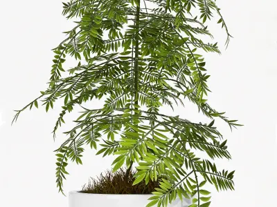 Decorative plant set-70 3D model