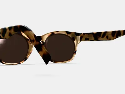 Kimball Sunglasses in Marzipan Tortoise 3D model