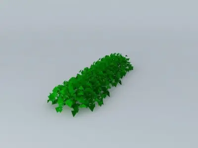 Plant ivy Free 3D model