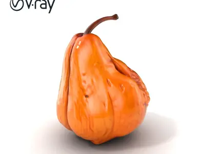 Dried Pear Realistic Model Pack Low-poly 3D model