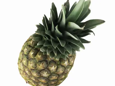 Pineapple 3D model