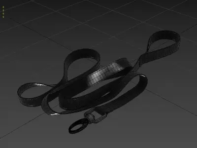 Pet Leash M01 Low-poly 3D model