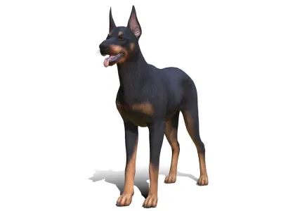 Dog - Doberman Low-poly 3D model