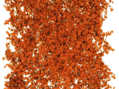 Maple wall 3 items 3D model