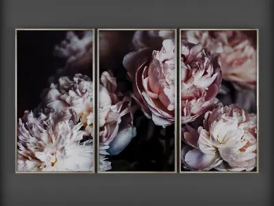 Collection of Picture Frames - 20 sets