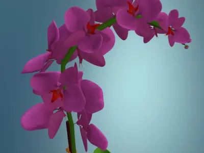 Orchid plant low poly Low-poly 3D model