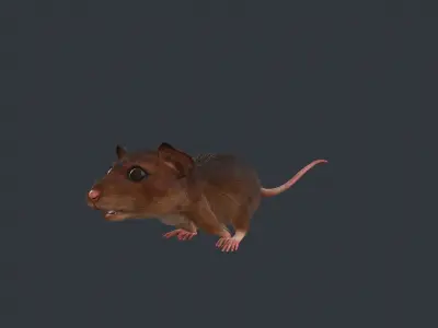 Animated mouse Low-poly 3D model