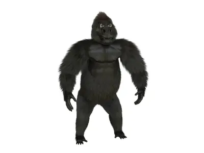 Stylized Gorilla Character Low-poly 3D model