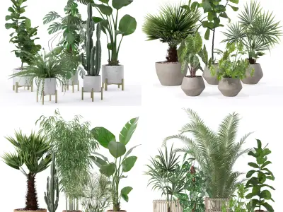 20 Photorealistic Flowers for Interiors - set 118 126 129 136 3D Model Collection