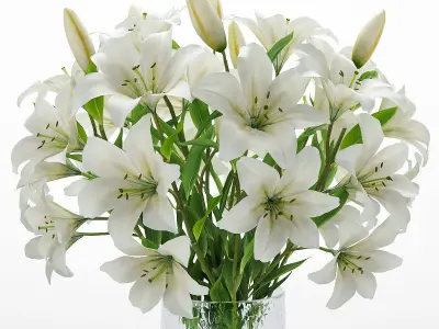 flower set 5 lilies in glass vase 3D model