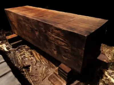 sawed log - Tronco aserrado 3D model