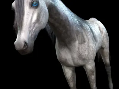 ARABIAN HORSE PUREBLOOD WILD WORLD PONY 1 Low-poly 3D model