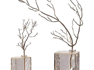 Bouquet of dried branches Glass square vase with a branch 3D model