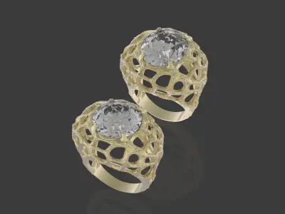 2 rings roots 3D print model