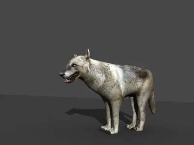 GREY WOLF Low-poly 3D model