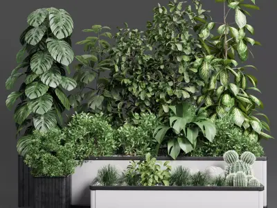 Garden Plants set Concrete box plants on stand 3D model