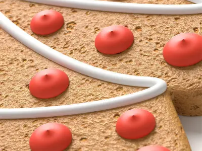 Gingerbread tree 3D model