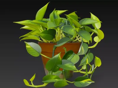 Realistic 3D Pothos Money Plant in Clay Pot 3D model
