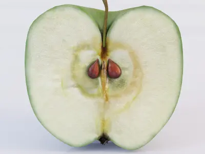 Apple Sliced 3D model