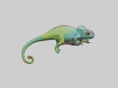 Chameleon climbing branch model Low-poly 3D model