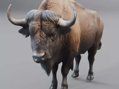 buffalo 3D model