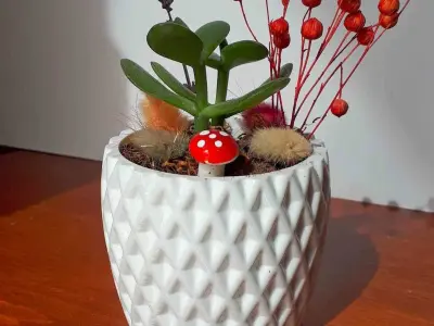 Potted Succulent and Plants  3D print model