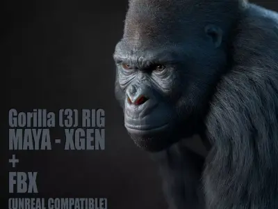 Gorilla 3 RIG XGEN CORE 3D model