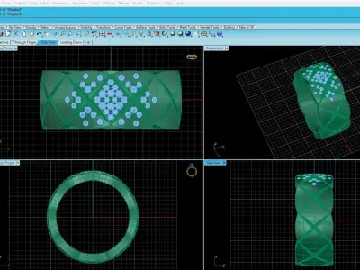 Ring Coco Crush 3D print model