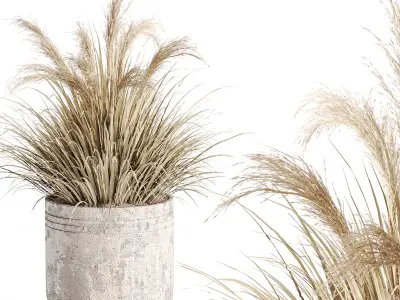outdoor-plants-in-vase-001 3D model