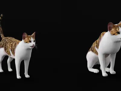 Domestic Shorthair Cat Low-poly 3D model