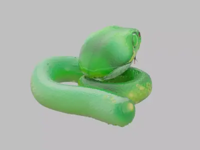 Fantasy Green Snake 3D model