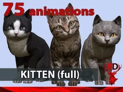 Kitten full Low-poly 3D model