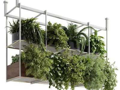 Hanging plants - Rectangle pot - indoor plant set 500 3D model