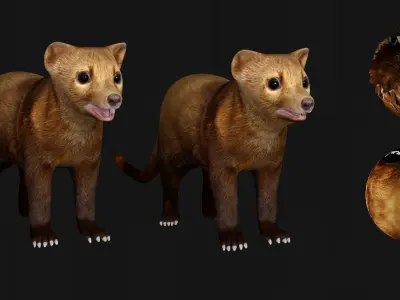 Martens Fisher  Low-poly 3D model