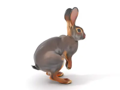 Realistic Rabbit Fur model pack Low-poly 3D model