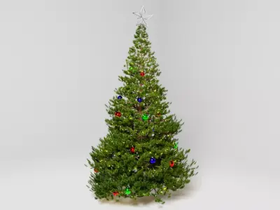 Christmas Tree Decorated 3D model