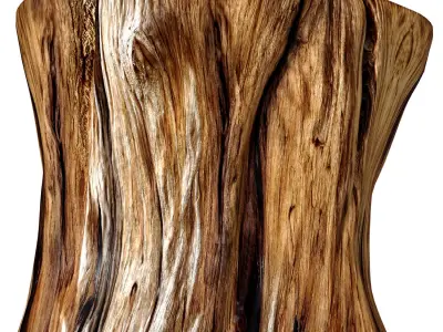 Rustic Wooden side table tree stump Coffee Side Table Sculptural 3D model