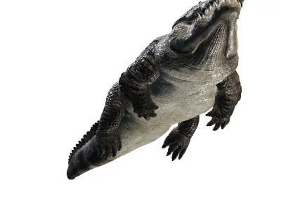Crocodile RIGGED ALLIGATOR 3D PRINTABLE LIZARD Low-poly 3D model