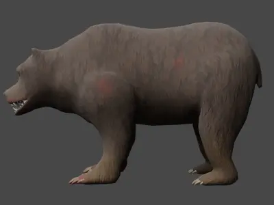 Grizzly Bear Low-poly 3D model 2