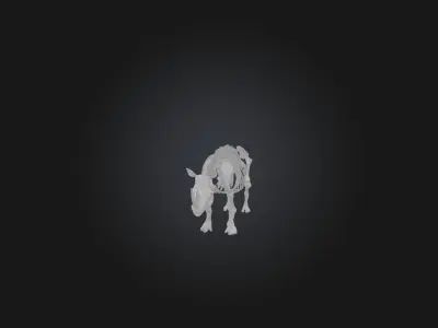 Realistic Rhinoceros Skeleton Model Low-poly 3D model