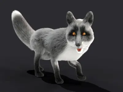 Fur Gray Fox Rigged Model Low-poly 3D model