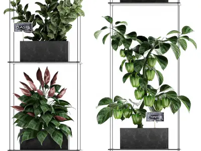 Vertical garden for the kitchen 72 3D model