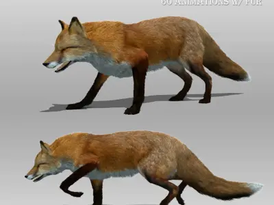 Red and Black Fox Animated with Fur 3D model