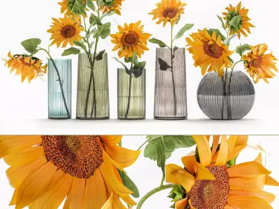 Flower bouquet of sunflowers in a vase 120 3D model
