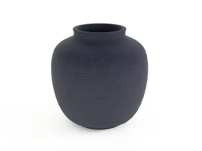 Nature-Inspired Botanical Vase 3D model