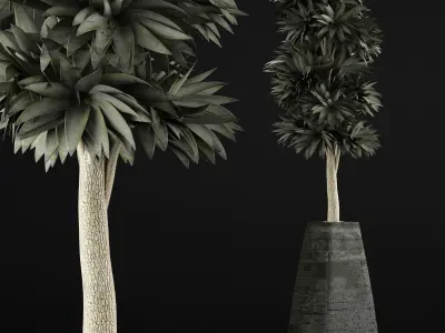 Plants Collection 62 3D model
