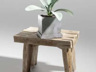 Set of plants 03 3D model