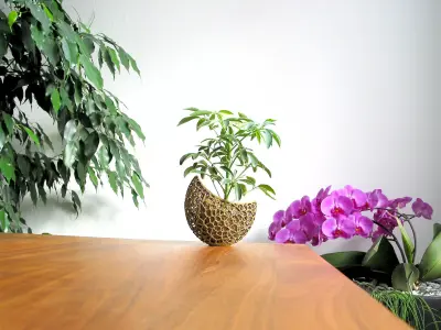 A burgeoning capsule Planter 3D print model