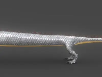 Dragon Chinese 3D model