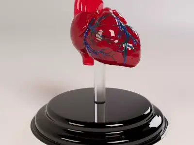 Decorate Heart 2 3D model